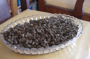 Bowl of bees